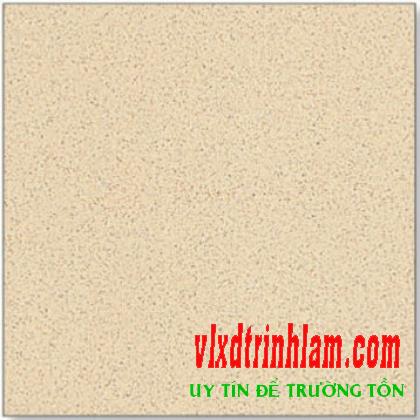 Granite Thanh Thanh 60x60 SB6039