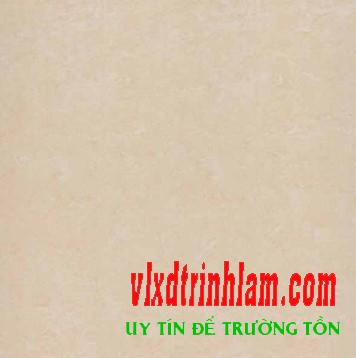 Gạch Đồng Tâm 1mx1m 100DB016-NANO