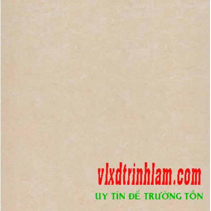 Gạch Đồng Tâm 1mx1m 100DB016-NANO