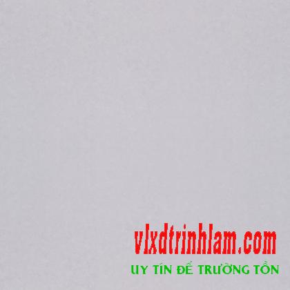 Gạch Đồng Tâm 60x60 6060VENUS002