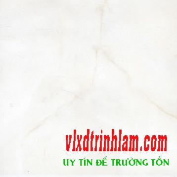 Gạch Đồng Tâm 3030NGOCTRAI002