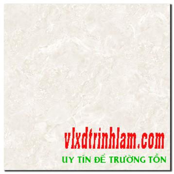 Gạch Đồng Tâm 60x60 6060THACHNGOC001
