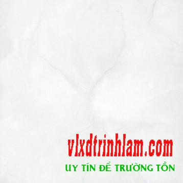 Gạch Đồng Tâm 3030NGOCTRAI001