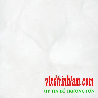 Gạch Đồng Tâm 3030NGOCTRAI001