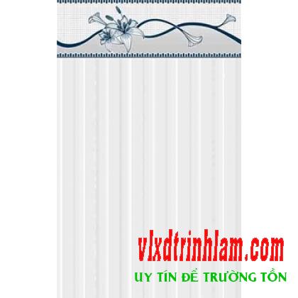 Gạch Thanh Thanh 25x40 2405V