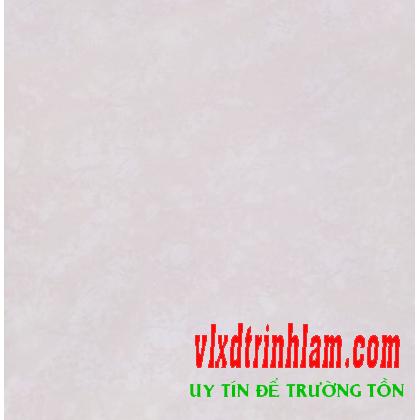 Gạch Đồng Tâm 8080PLATINUM02