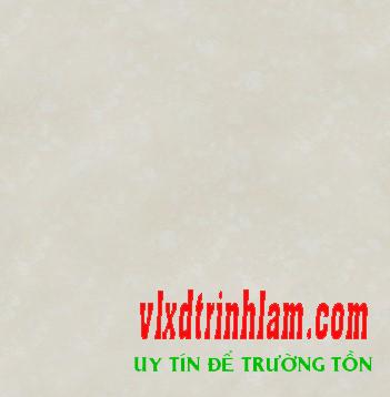 Gạch Đồng Tâm 8080PLATINUM03