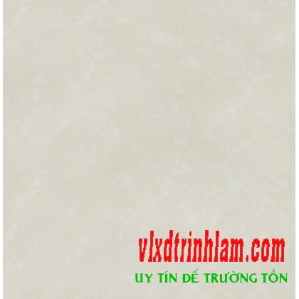 Gạch Đồng Tâm 8080PLATINUM03