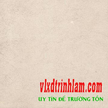 Gạch Đồng Tâm 60x60 6060CLASSIC009