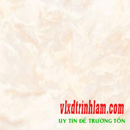 Gạch Đồng Tâm 8080FANSIPAN001-FP-H+