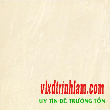 Gạch Đồng Tâm 60x60 6060TAMDAO001