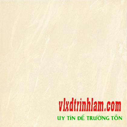 Gạch Đồng Tâm 60x60 6060TAMDAO001