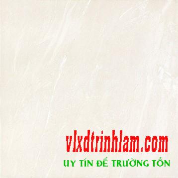 Gạch Đồng Tâm 60x60 6060TAMDAO002