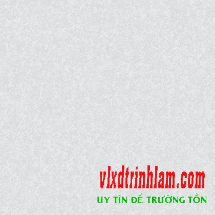 Gạch Đồng Tâm 60x60 6060WS013