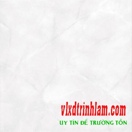 Gạch Đồng Tâm 30x30 ROCA 001
