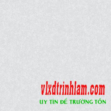 Gạch Đồng Tâm 60x60 6060WS014