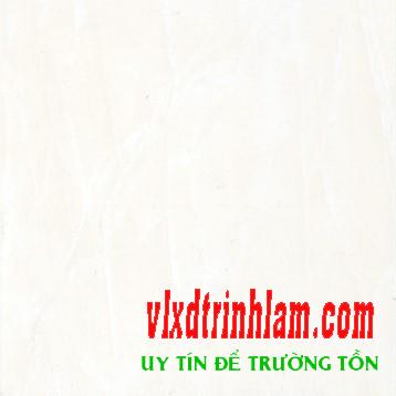 Gạch Đồng Tâm 30x30 PHALE 001