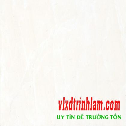 Gạch Đồng Tâm 30x30 PHALE 001