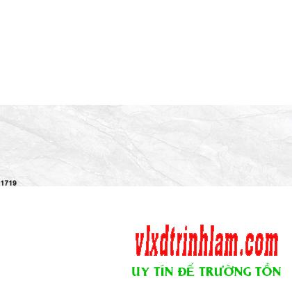 Gạch ốp tường Hoàn Mỹ 300x600mm Ceramic 1719