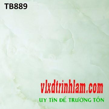 Gạch Viglacera 800x800 TB 889