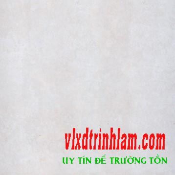 Gạch Đồng Tâm 60x60 6DM02LA