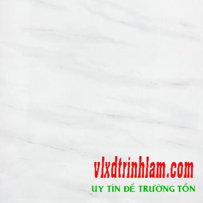 Gạch Đồng Tâm DTD6060CARARAS002-FP