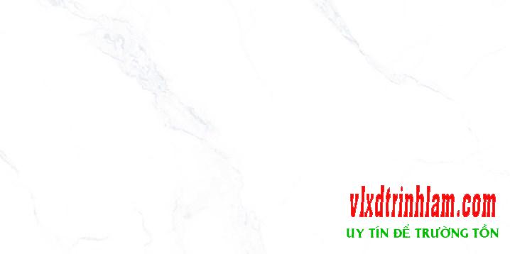 Gạch Granite Bạch Mã 300x600 HE 36045