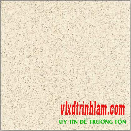 Granite Thanh Thanh 60x60 SB6038