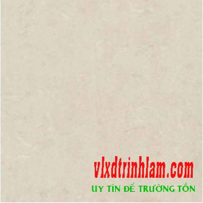 Gạch Đồng Tâm 1mx1m 100DB028-NANO