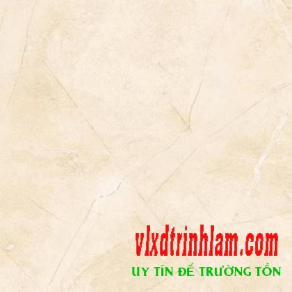 Gạch Đồng Tâm 3030ROME002
