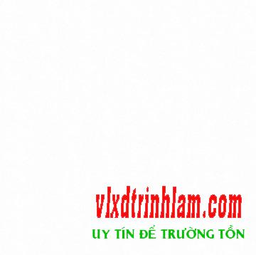 Gạch Đồng Tâm DTS6060BRIGHT001-FP