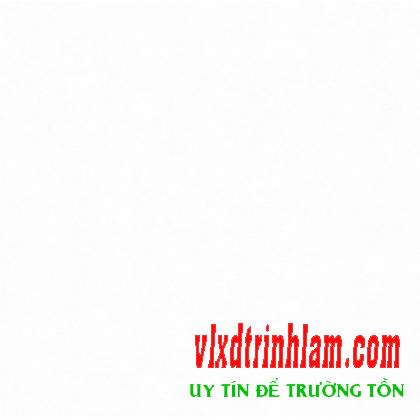 Gạch Đồng Tâm DTS6060BRIGHT001-FP