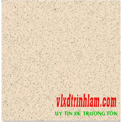 Gạch 60x60 Bạch mã HG 6004