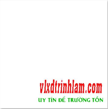 Gạch Đồng Tâm 6060SNOW001-FP