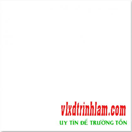 Gạch Đồng Tâm 6060SNOW001-FP