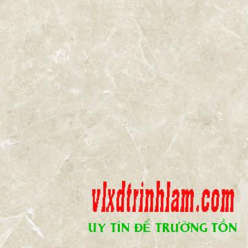 Gạch Đồng Tâm DTD6060TRUONGSON005-FP