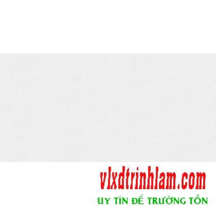 Gạch Đồng Tâm Tiensa 003