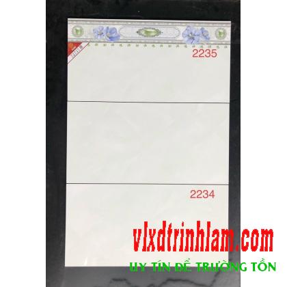 Gạch ốp tường Prime 300x600 mm 2234