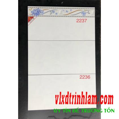 Gạch ốp tường Prime 300x600 mm 2236