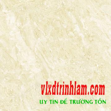 Gạch Đồng Tâm DTD6060TRUONGSON007-FP