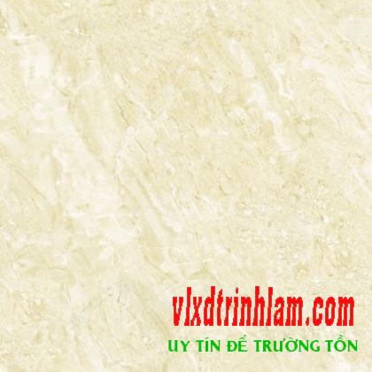 Gạch Đồng Tâm DTD6060TRUONGSON007-FP