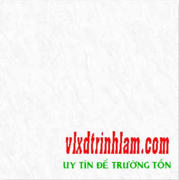 Gạch Đồng tâm DTD6060TRUONGSON001-FP