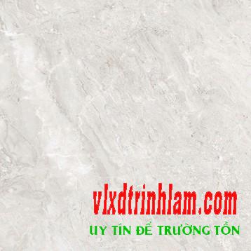 Gạch Đồng Tâm DTD6060TRUONGSON002-FP