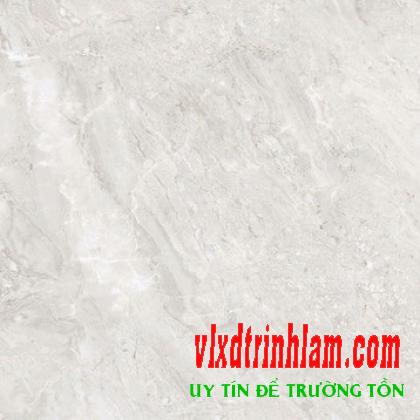Gạch Đồng Tâm DTD6060TRUONGSON002-FP
