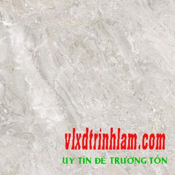 Gạch Đồng Tâm DTD6060TRUONGSON003-FP