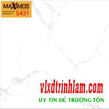 Gạch men VITTO 5431