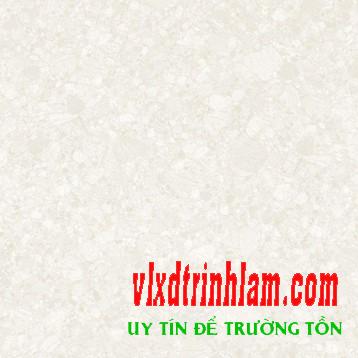 Gạch Đồng Tâm DTD6060TRUONGSON004-FP