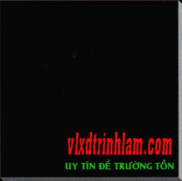 Gạch Viglacera TS5-636