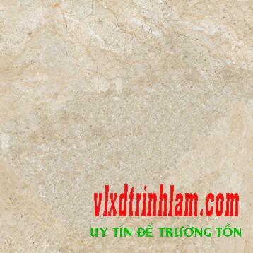 Gạch Đồng Tâm DTD6060TRUONGSON006-FP