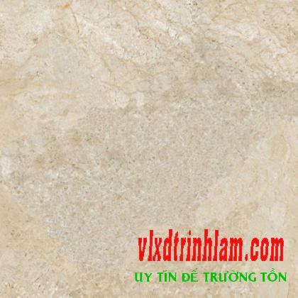Gạch Đồng Tâm DTD6060TRUONGSON006-FP